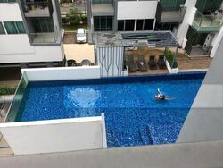 Natura@Hillview (D23), Apartment #501636651